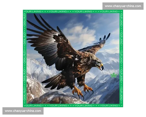 苍鹰vs雕空中霸主对决谁才是真正的天际王者之争生死巅峰较量全景解析